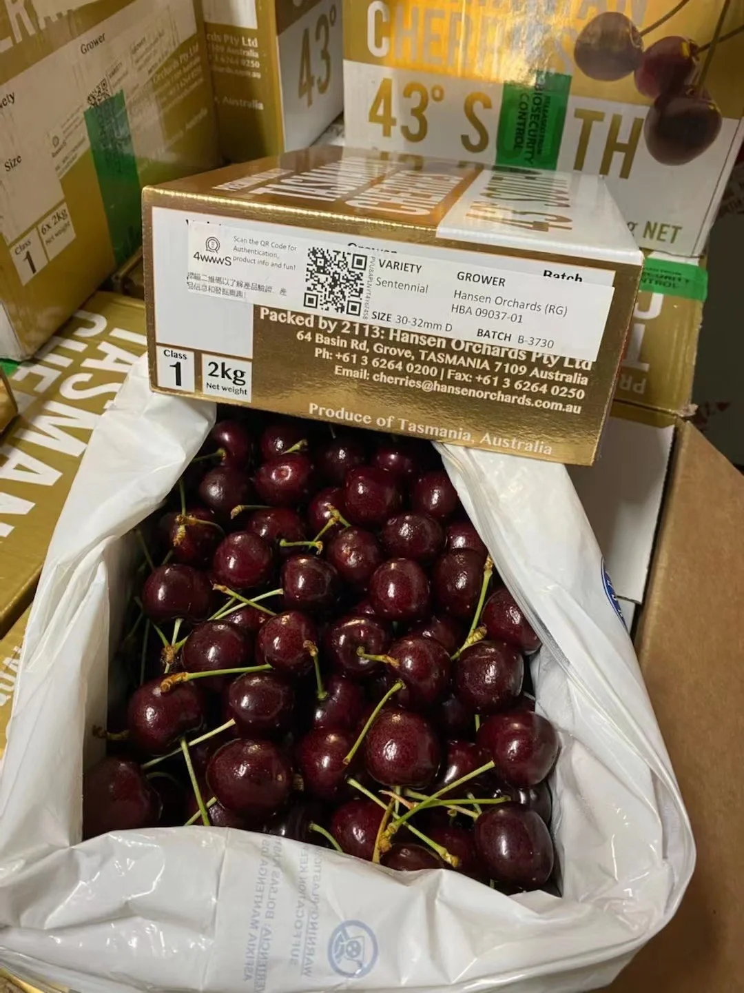 塔斯马尼亚联挑战恩菲尔德，南美德比激烈升级的简单介绍